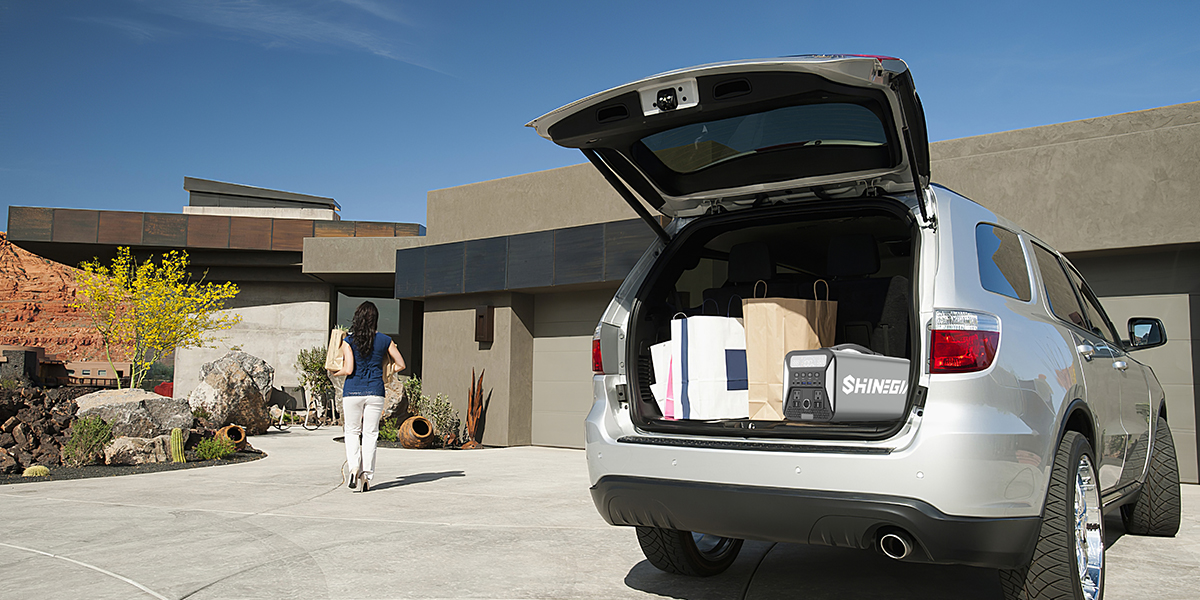 Centrale électrique portative