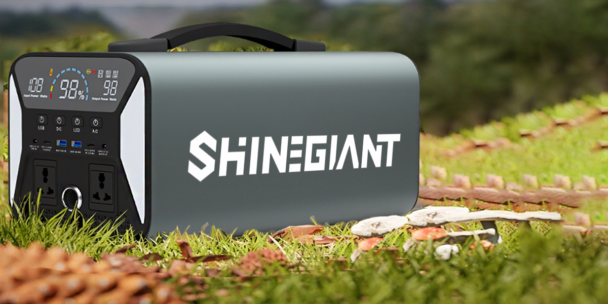 Centrale électrique portative